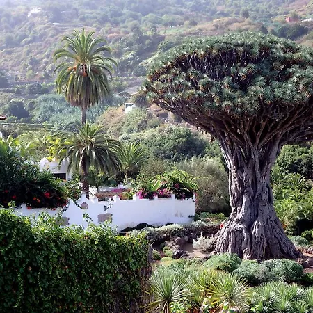 Ferienhaus Finca La Icod De Los Vinos